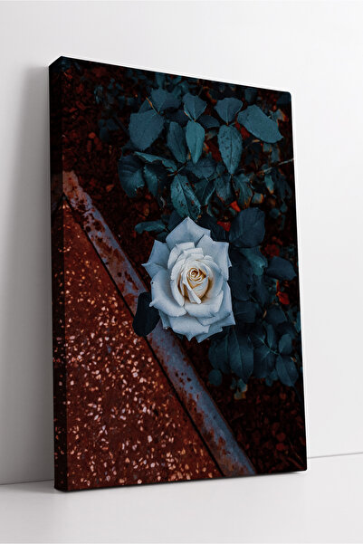 KOSS Dijital Trandafir alb și fundal în tonuri închise, artă florală modernă,...