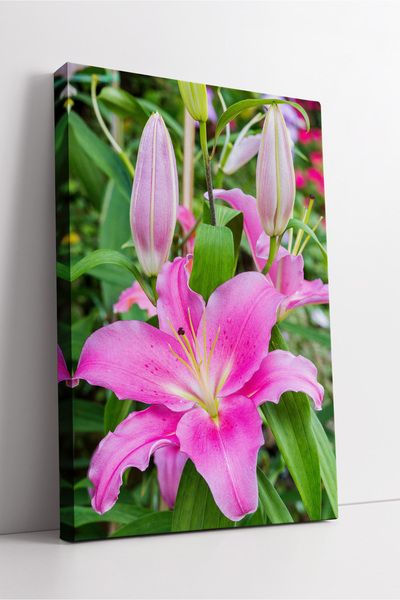 KOSS Dijital Decor estetic de perete cu tematică de flori de crin roz Pictură...