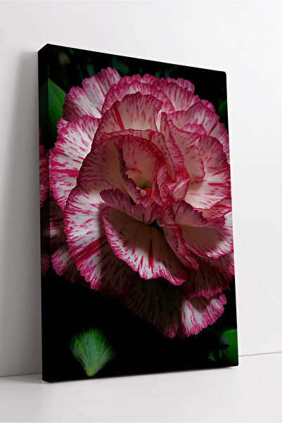 KOSS Dijital Розово-бял карамфил, детайлен, елегантен флорален дизайн, модерн...