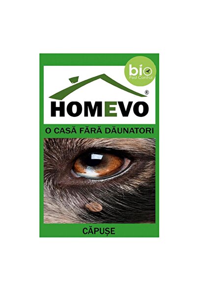 Homevo Set 5 x Pulbere impotriva capuselor 50g.