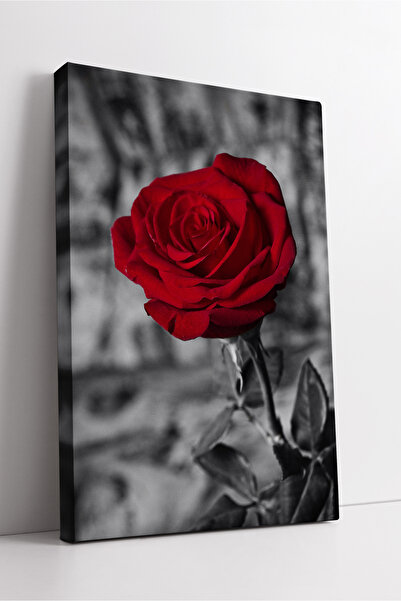 KOSS Dijital Pictură artistică decorativă modernă pe pânză, cu tematică de fl...