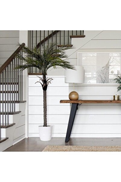 MirageBotanics Artificial Palm Tree Faux Plant (168cm)