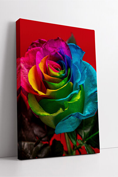 KOSS Dijital Compoziție artistică cu flori de trandafir colorate, pictură dec...