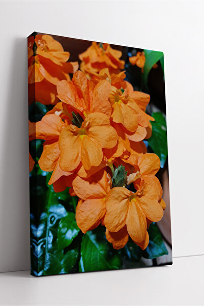 KOSS Dijital Pictură decorativă modernă pe pânză, inspirată din natură, cu te...