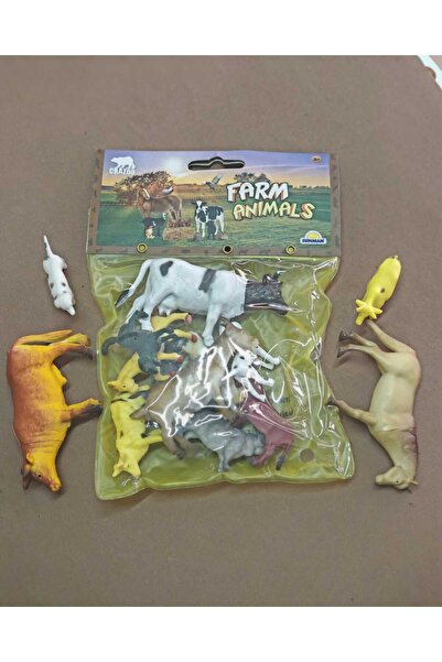 Sunman çiftlik hayvanşarı