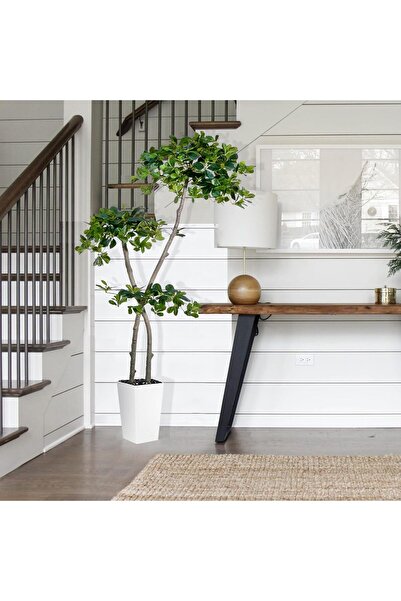 MirageBotanics 5ft Artificial Black Olive Tree with 959 Lifelike Leaves and Planter