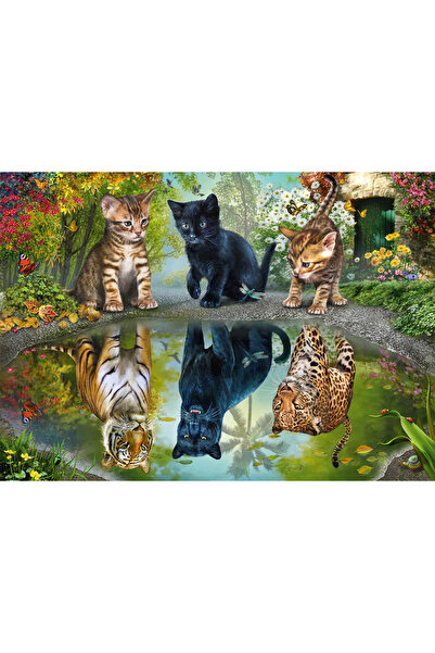 Schmidt Παζλ Schmidt: Ονειρέψου Μεγάλα!, 1000 κομμάτια