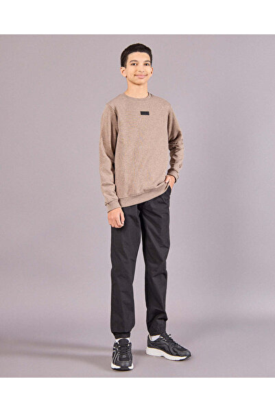 REDTAG Senior Boys Brown Embellished Sweatshirt