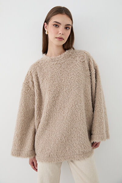 JASTE Women's Mink Oversized Plush Sweater