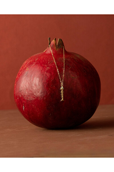 Silveria Jewels 925 Ayar Gümüş Altın Renkli Balık Kılçığı Kolye