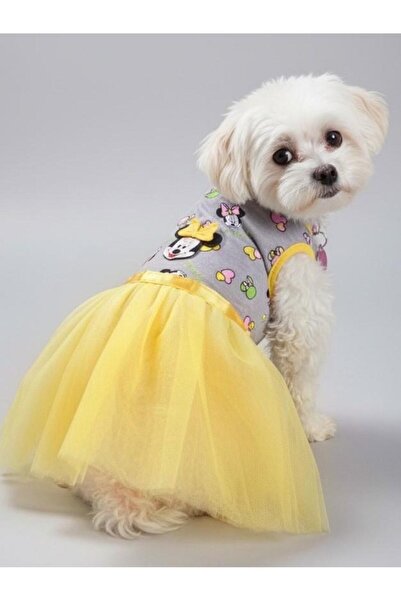 Kemique زي كلب ساني توتو اللطيف على شكل فأر |   فستان توتو أصفر |   لكلاب الس...