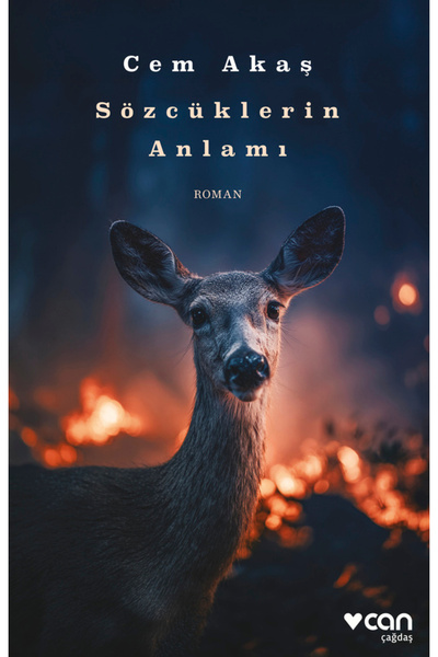 Can Yayınları Sözcüklerin Anlamı