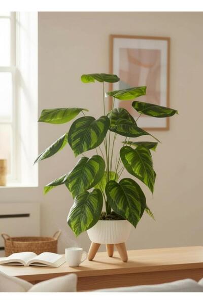 Nettenevime Yapay Çiçek Salon Bitkisi Difenbahya 70cm 18 Yaprak Beyaz Zigon S...