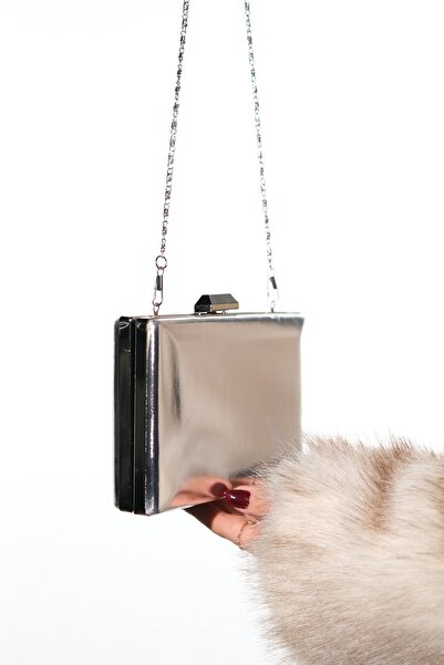 LuviShoes Γυναικεία βραδινή τσάντα IVAN Silver Skin