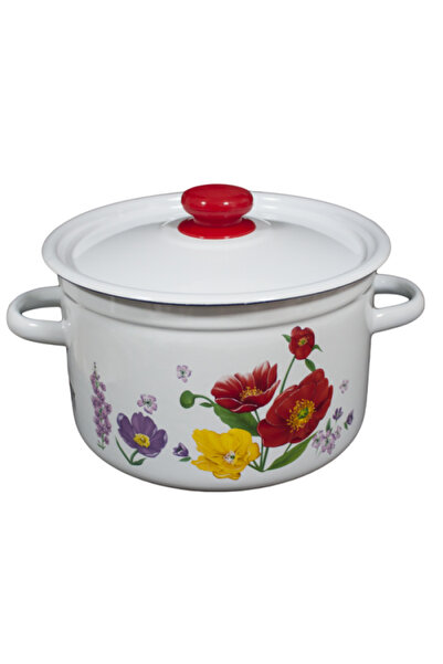 Raki POLEVOY enamel saucepan with lid 9L carbon steel