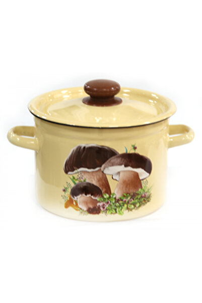 Raki GABI enamel pot, with lid 2L, carbon steel