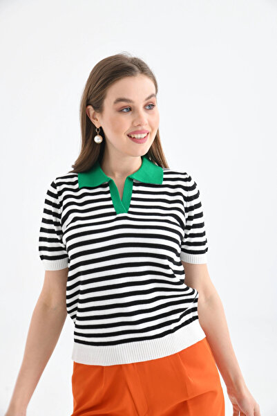 Park Karon    Women's Polo Neck Striped Knitwear Sweater