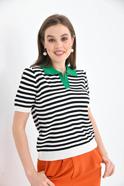 Park Karon    Women's Polo Neck Striped Knitwear Sweater