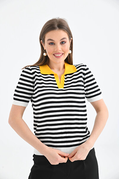 Park Karon    Women's Polo Neck Striped Knitwear Sweater