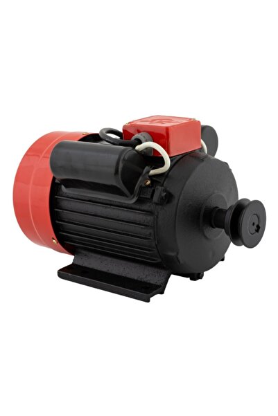 yamamoto Motor electric 2.5 kW, 230 V, 3000 rpm, YAMAMOTO, Y 90 L-2