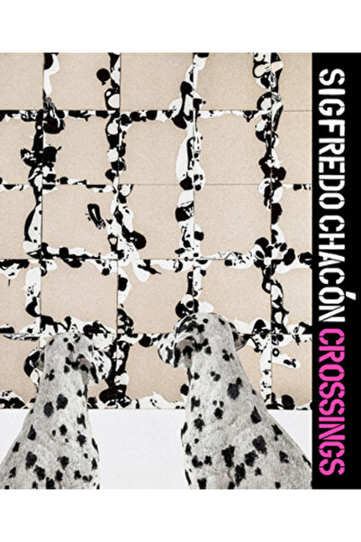 Turner Sigfredo Chac