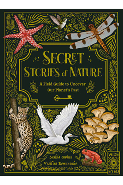 Wide Eyed Ed Secret Stories of Nature: A Field Guide to Uncover Our Planet's Past