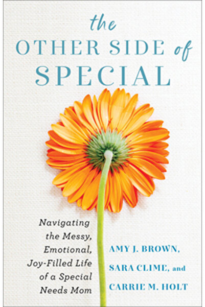 Revel Fleming H The Other Side of Special: Navigating the Messy, Emotional, Joy-Filled Life of a Special Needs Mom