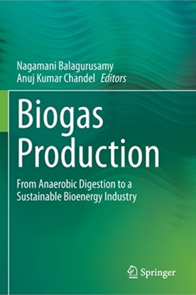 Springer Nature Producția de biogaz: de la digestia anaerobă la o industrie a...
