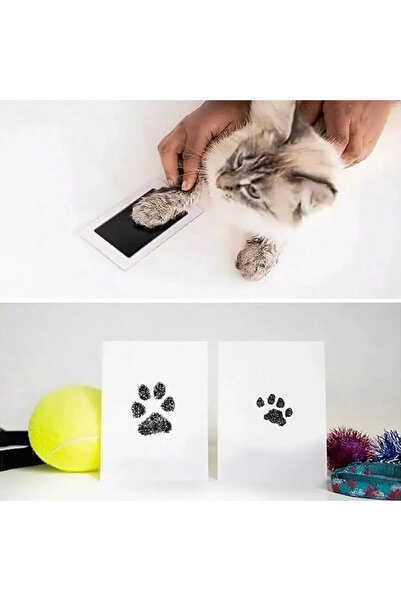 Kedi Köpek Pati İzi Fotoğraf Çerçevesi Seti