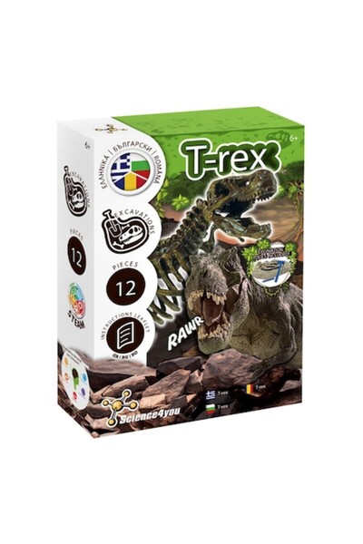 OEM Set Excavare Fosile de Dinozauri