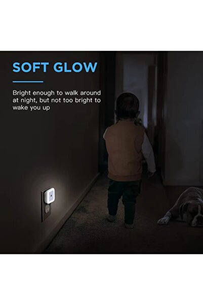 OEM Set of 3 LED Night Lights with Day-Night Sensor, 0.5W, White Light, 110-240V