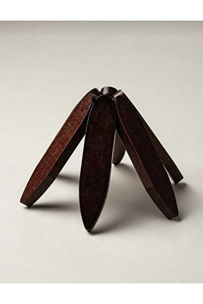 Kaan Accessoire 3-Piece Acacia Color Wooden Tree with Stand - Nihale Practical Folding Nihale