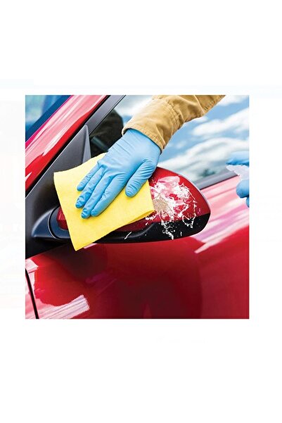 OEM Car Spray for Removing Insects & Bird Droppings - 500ml