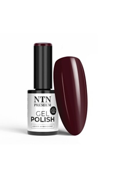 NTN PREMIUM Semi-permanent nail polish TPO free 267 Oriental Delice
