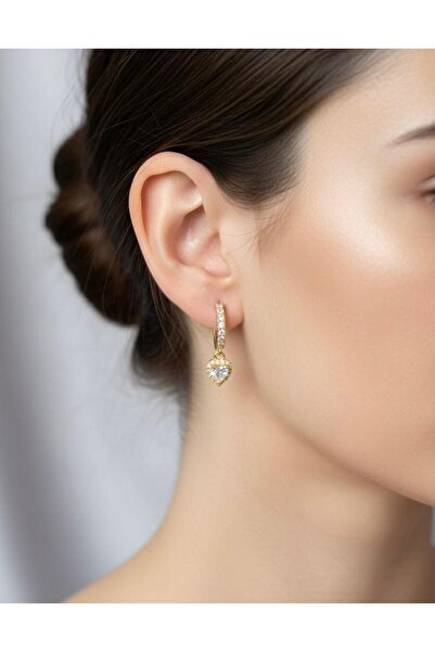Stilbenim Steel Heart Earrings