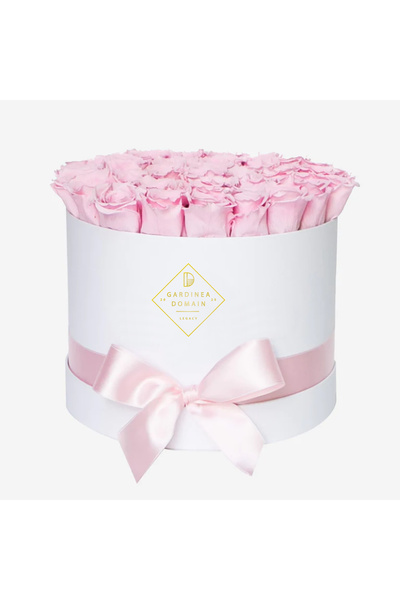 Gardinea Domain Aranjament floral Gardinea Domain® 25 trandafiri roz, in cuti...