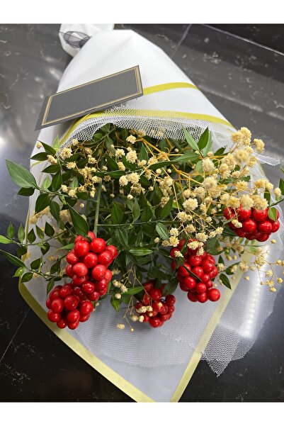 greendeco Kokina şans çiçeği cipso aranjmanlı Beyaz buket (6 DAL)-yılbaşı çiçeği -şans çiceği cipso