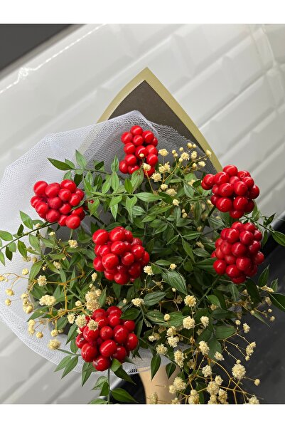 greendeco Kokina çiçeği 6 Dal cipso aranjman siyah buket -şans çiçeği-yılbaşı çiçeği