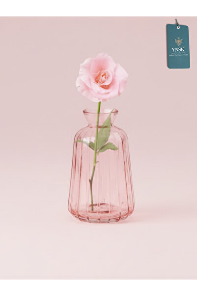 YNSK Luxury | Minimalist Dekor Cam Vazo, Oda Kokusu Şişesi, - 6 X 3,5 X 11 cm