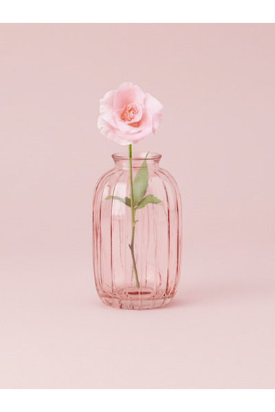 YNSK Luxury | Minimalist Dekor Cam Vazo, Oda Kokusu Şişesi, - 6 X 4 X 12 cm
