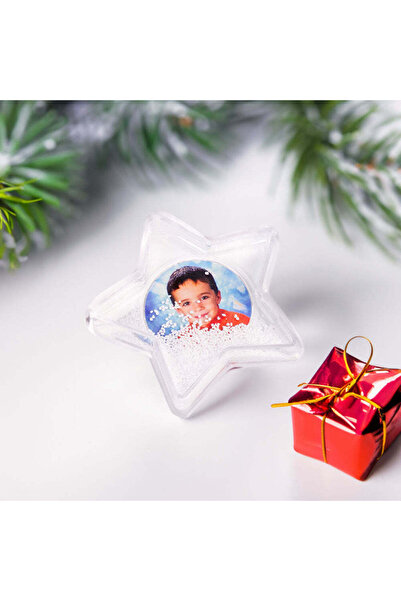 OEM Photo Insert Globe – The Star That Preserves the Magic of the Holidays