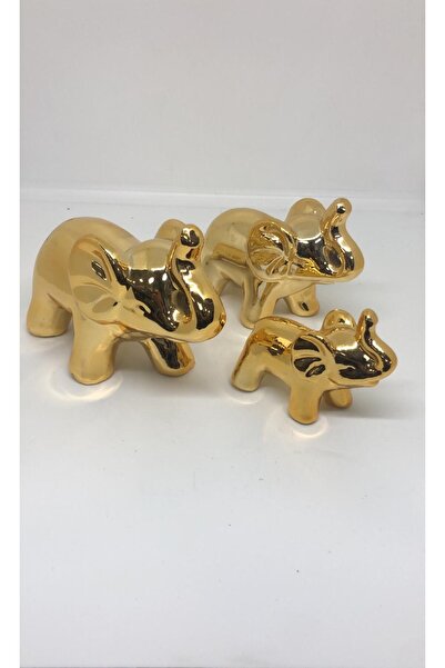 Lebron Fil Ailesi 3'LÜ Set GOLD