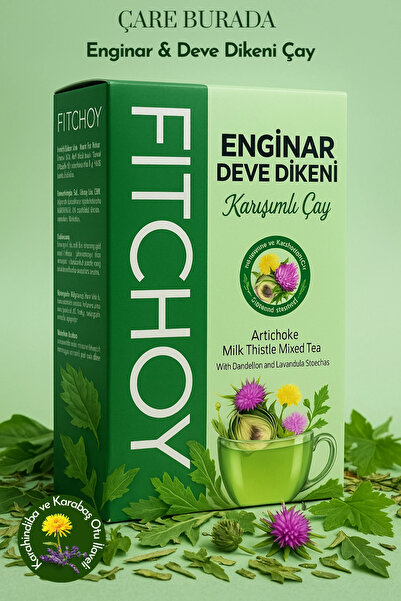 Çare Burada Fitchoy - Enginar & Deve Dikeni Çay 90 gr x 45 Adet (Karabaş Otu ve Karahindiba İlaveli)
