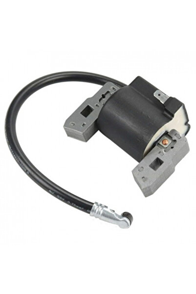 TAIWAN Ignition coil Briggs & Stratton 5 HP ZF-IG-A 00385