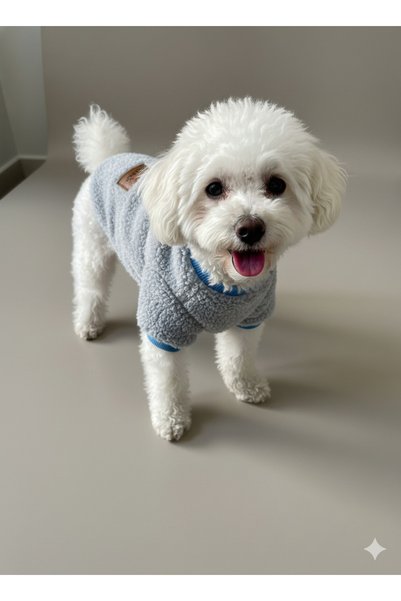 PATİLİNKA Cat - Dog Welsoft Soft Plush Sweat - Clothing - Coat - Vest