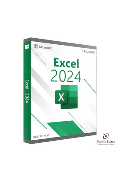MICROSOFT Excel 2024 BIND PC/MAC