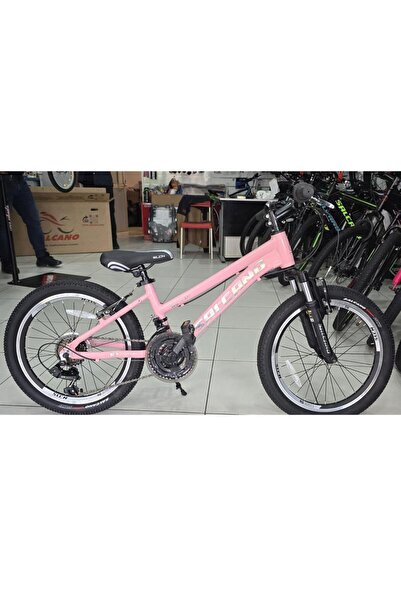 Salcano NG Team Girl 20V11 18 Vites Kız Çocuk Bisikleti (120-145 cm boy)