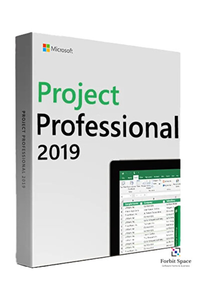 MICROSOFT Project Professional 2019