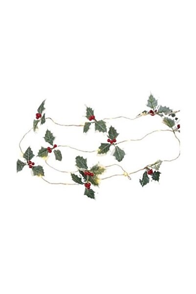 Danex Șir de lumini de Crăciun cu baterii, 2 m, 20 becuri LED roșii în formă de fruct, alb cald,