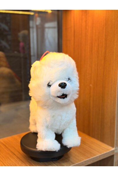 OEM Müzikli Yürüyen miyavlayan Yalayan Kuyruk Ve Başını Sallayan Ses Kaydını ...